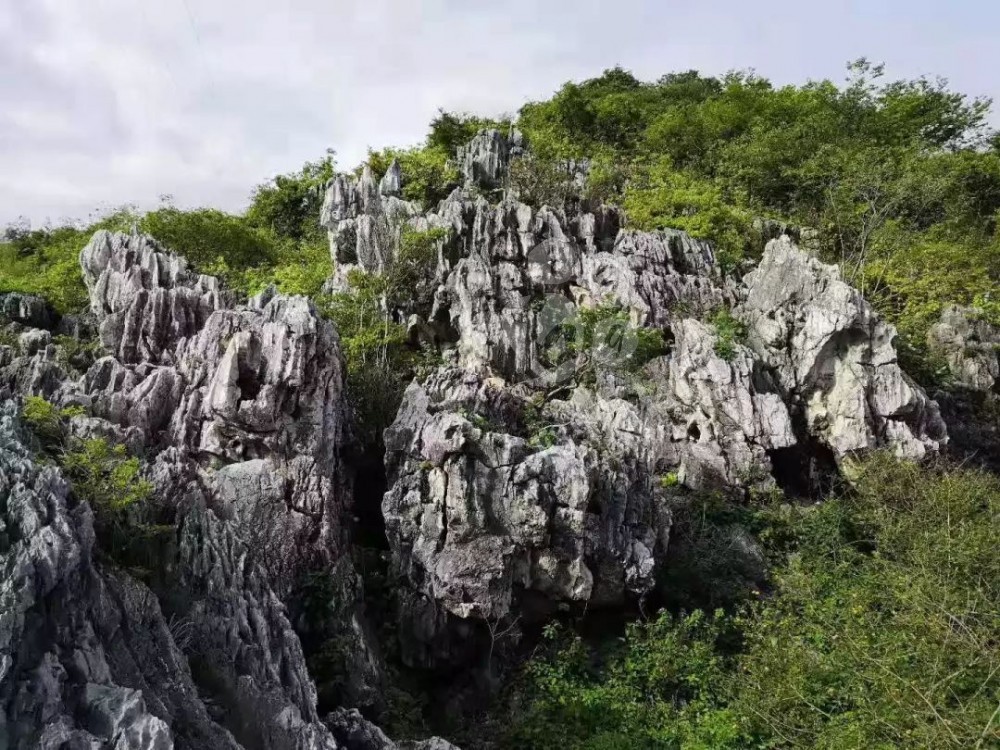 廣東英德石園林造景常用石材欣賞！