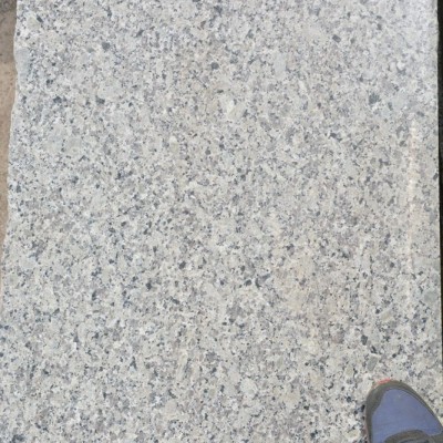 江西巴拉白毛光板批發