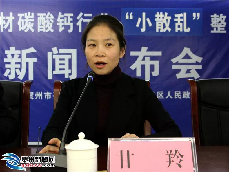 廣西賀州市石材碳酸鈣行業(yè)“小散亂”整治工作新聞發(fā)布會(huì)召開(kāi)