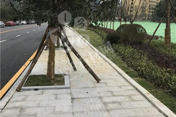 湖南芝麻灰溆浦廠家福華石材主營芝麻灰、芝麻黑654、芝麻白、小冰花、G688#