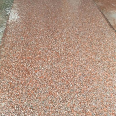 仙人紅荔枝面毛板水頭市場批發