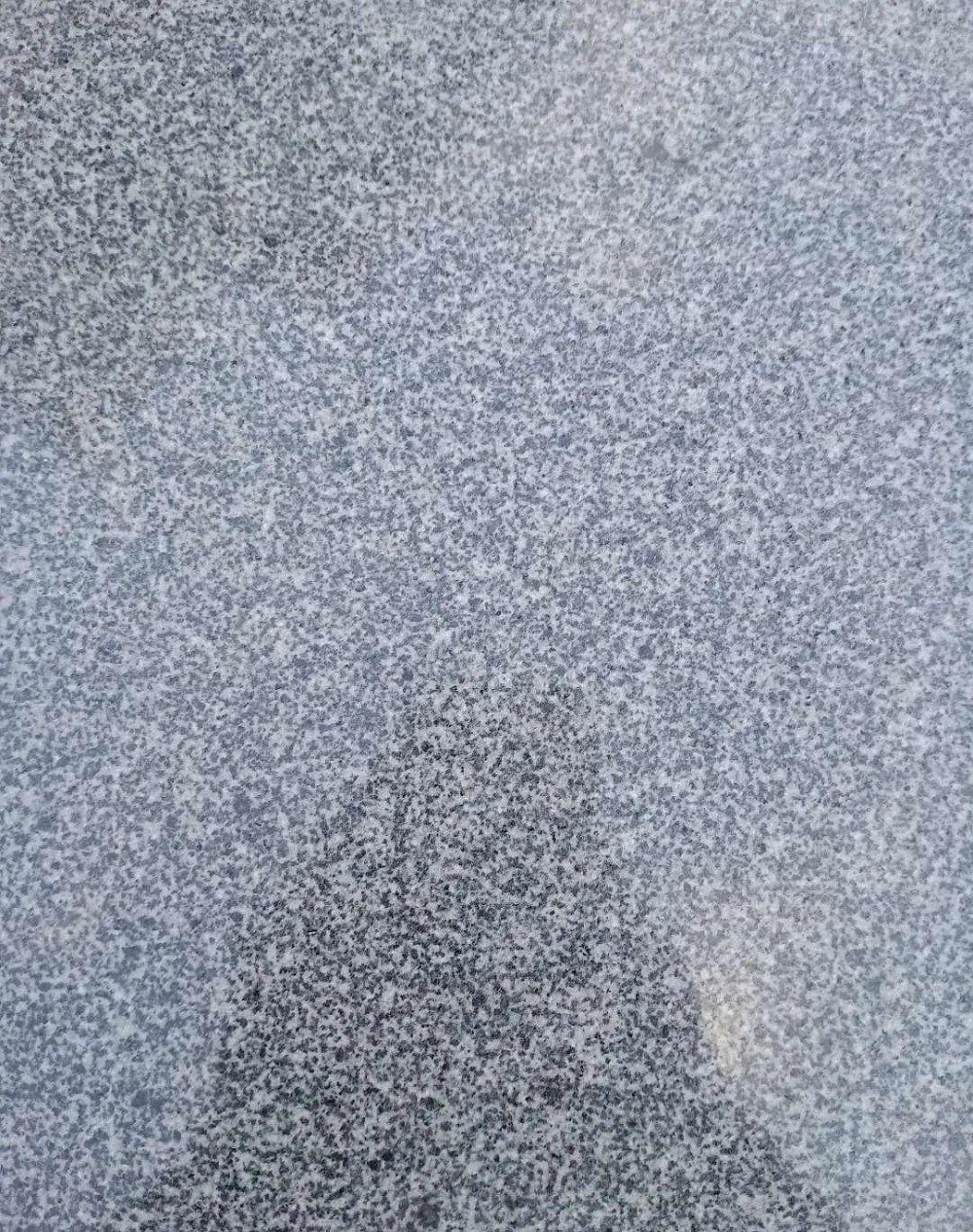 中國芝麻灰國內各省市產地（圖文）匯總，持續更新中