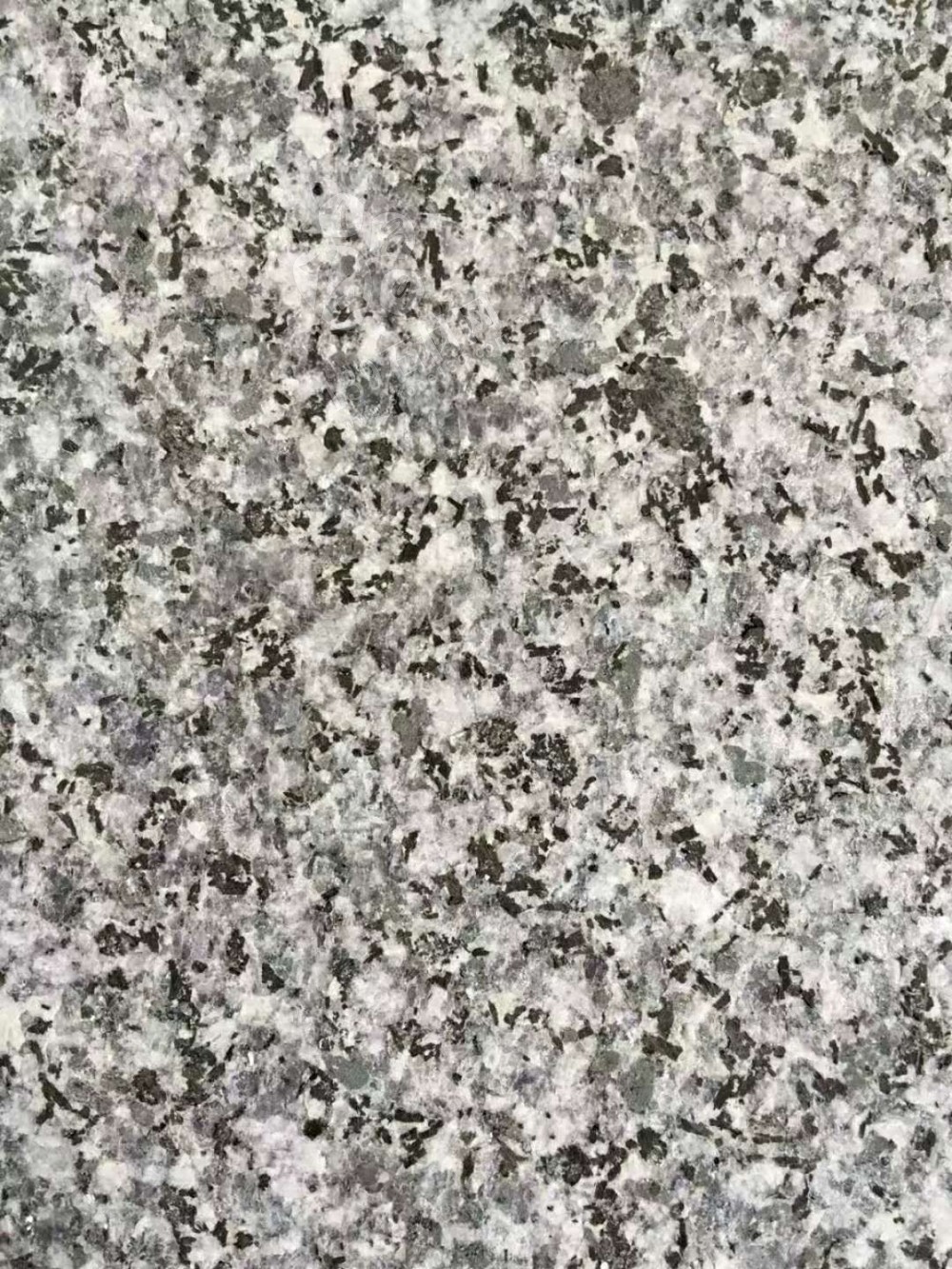 【同創石材】江西芝麻黑宜春礦區廠家奉新縣石材加工廠