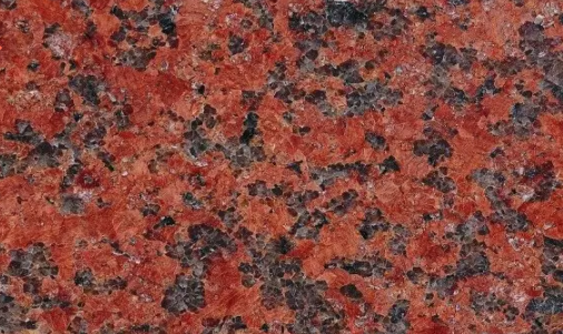 水頭市場“印度紅”遭瘋搶，搶不到也別慌，還有國產印度紅！