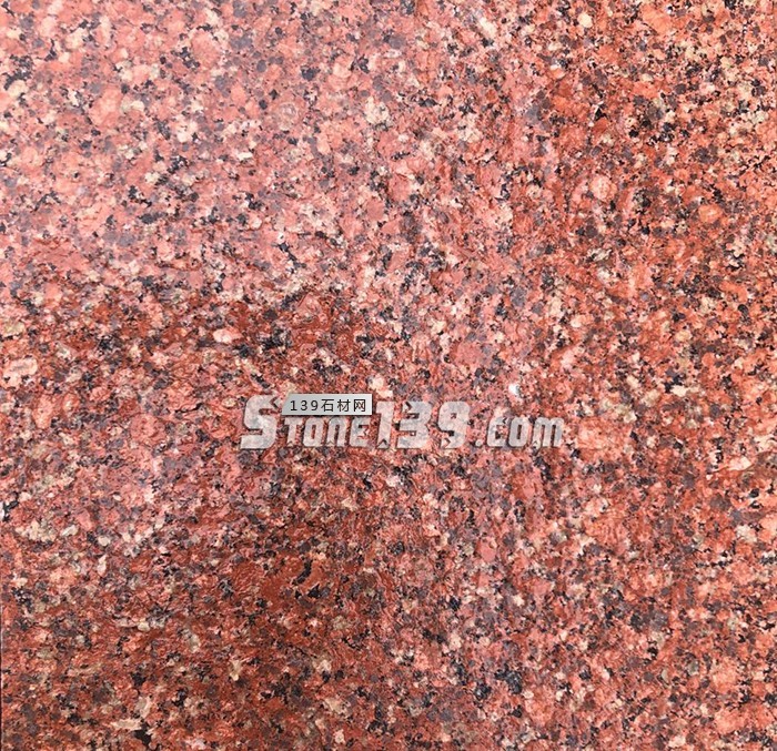 水頭市場“印度紅”遭瘋搶，搶不到也別慌，還有國產印度紅！