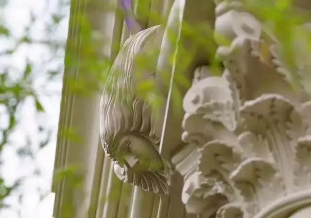 葡萄牙米黃進口大理石的介紹及相關應用裝飾案例