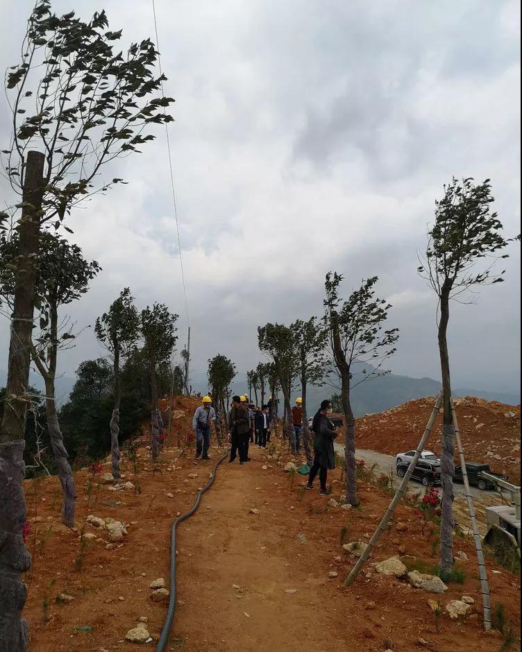 福建省級驗收組對建寧縣三個飾面石材礦山進行專項整治終驗