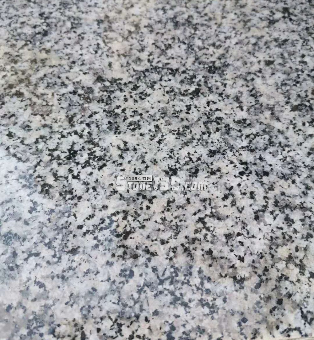 遼寧營口市蓋州芝麻白、芝麻灰、珍珠花產地價格表（指導）！