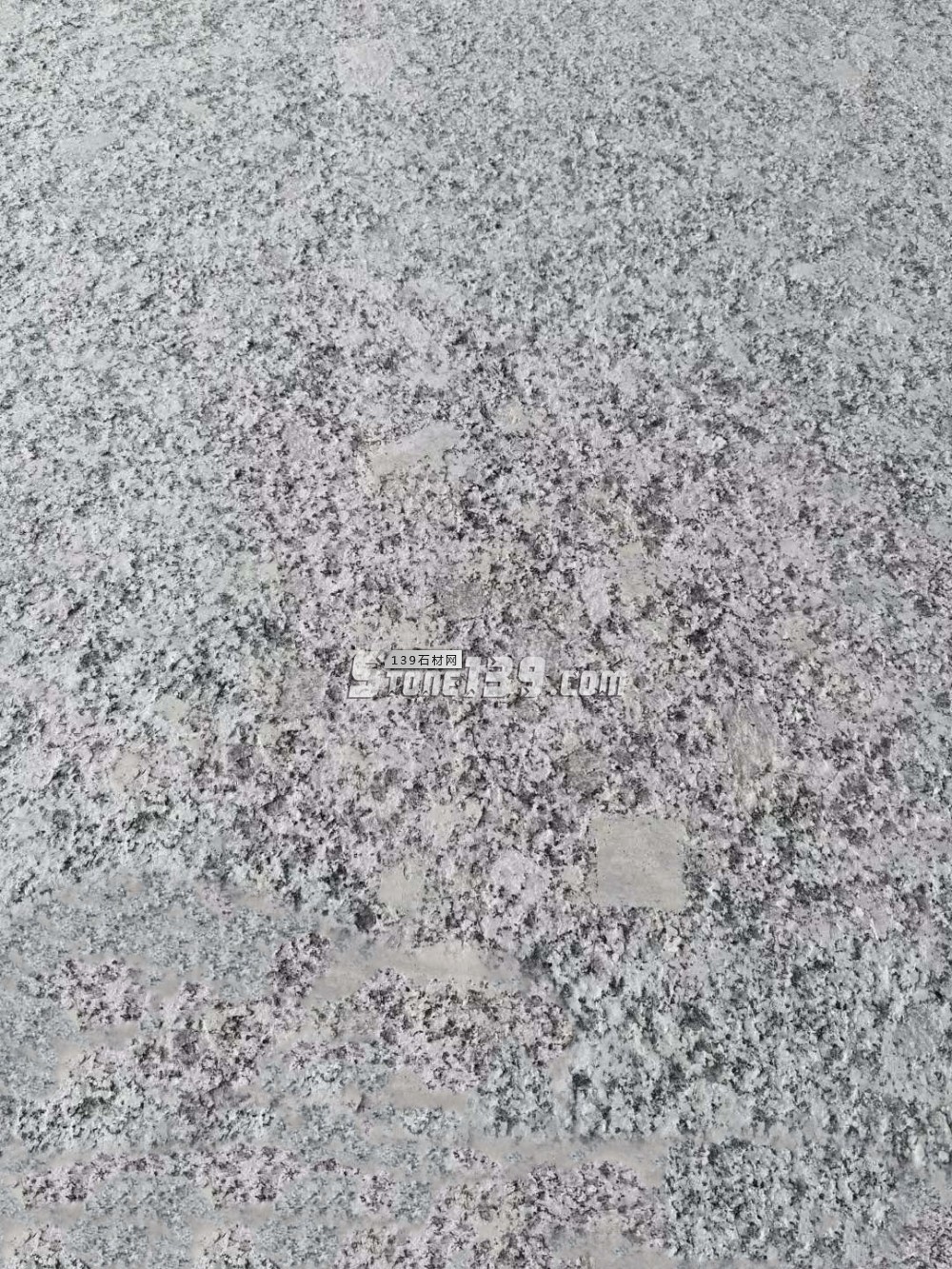 遼寧營口市蓋州芝麻白、芝麻灰、珍珠花產地價格表（指導）！