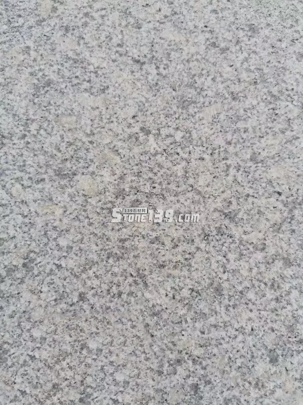 遼寧營口市蓋州芝麻白、芝麻灰、珍珠花產地價格表（指導）！