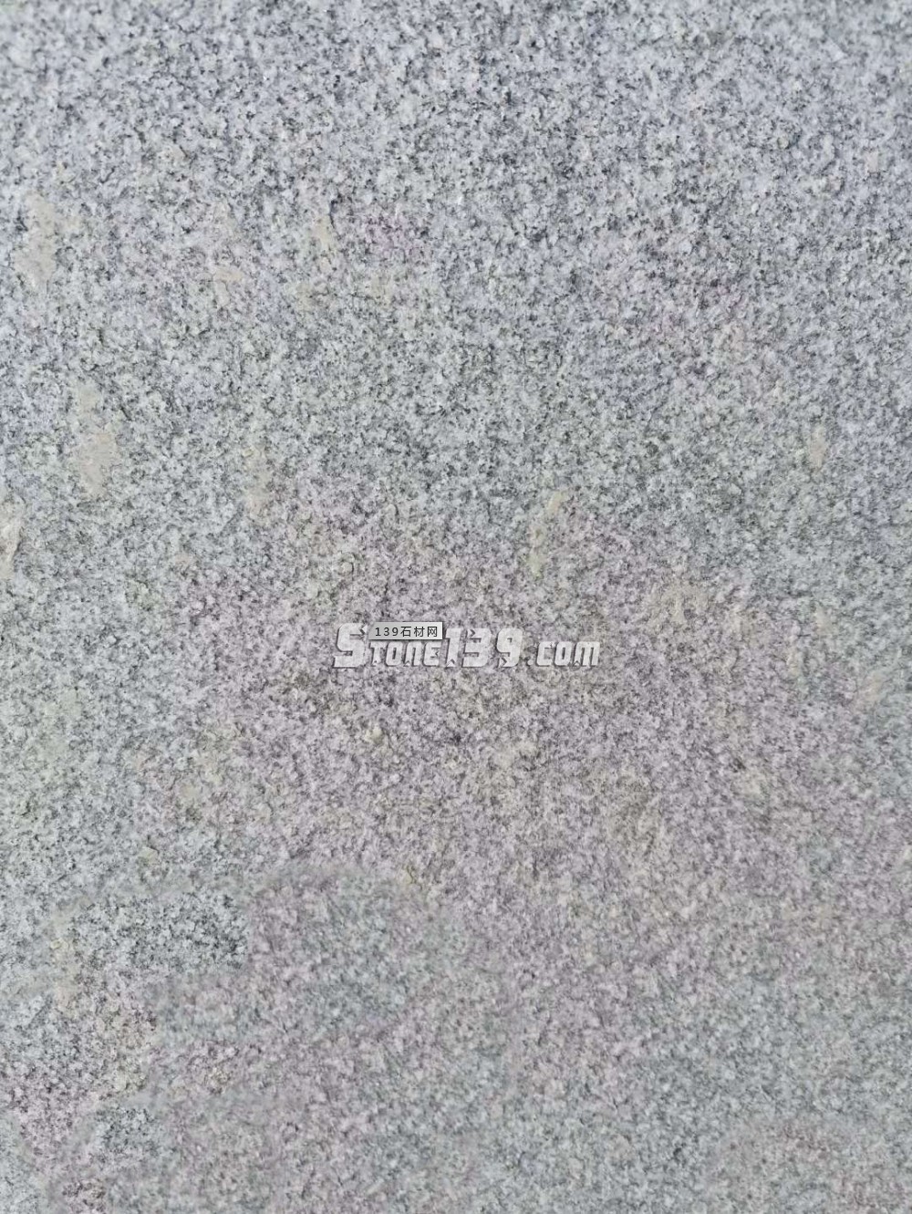 遼寧營口市蓋州芝麻白、芝麻灰、珍珠花產地價格表（指導）！