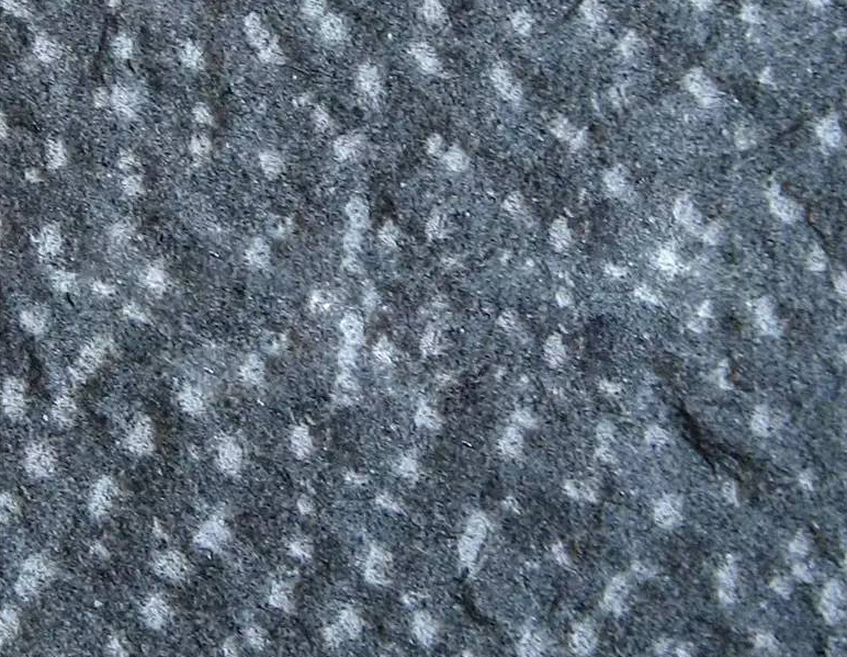 【恒鑨竽杰石材】主營花崗巖江西紅、新老礦芝麻黑654#