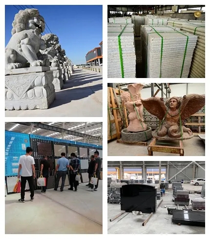 河北滄州市副市長張文閣對黃驊港華業石材新城進行考察調研活動