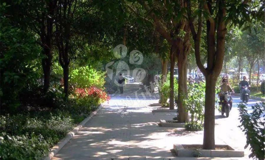 廉江白麻，鋪滿大江南北的花崗石