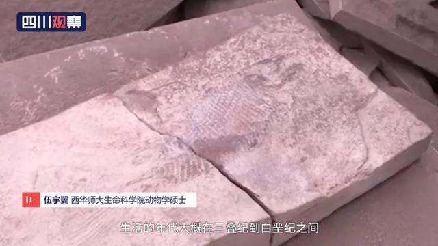 眉山首例！丹棱幸福古村發(fā)現(xiàn)疑距今約一億三千五百萬年的“魚化石”！ 