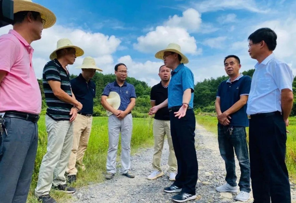 江西省安福縣委書記等領導一行蒞臨方通石業視察指導!附江西吉安新品青石欣賞!