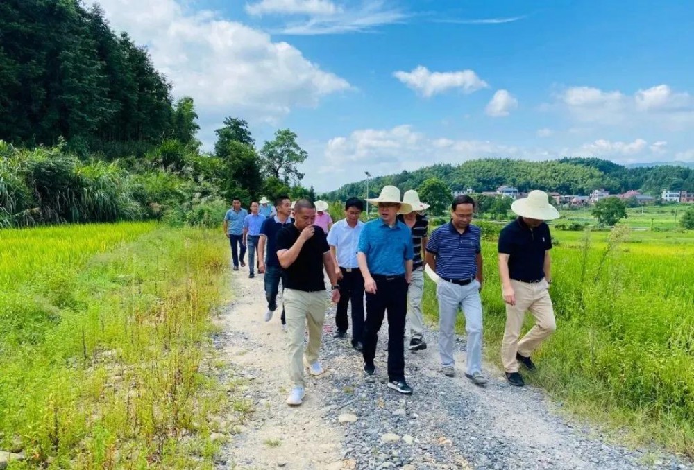 江西省安福縣委書記等領導一行蒞臨方通石業視察指導!附江西吉安新品青石欣賞!