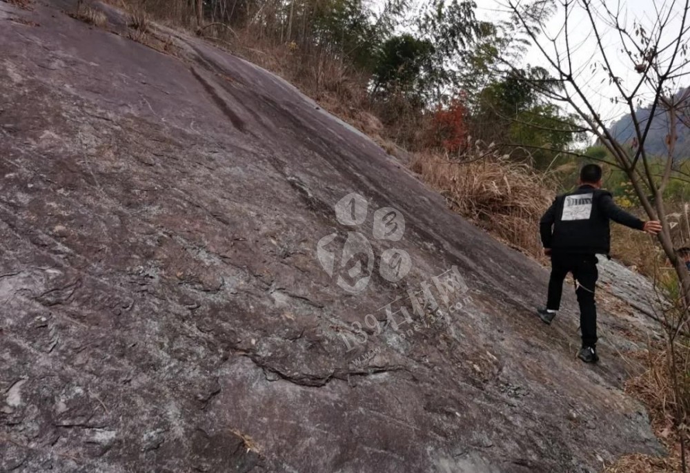 江西省安福縣委書記等領導一行蒞臨方通石業視察指導!附江西吉安新品青石欣賞!