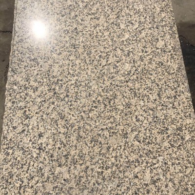 江西菊花黃毛板60頭批發