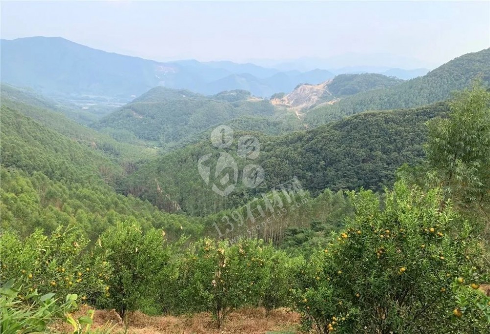 廣東惠州石材新礦起拍價9.6億，儲量1.66億m3！又一超級花崗巖礦權即將問世！