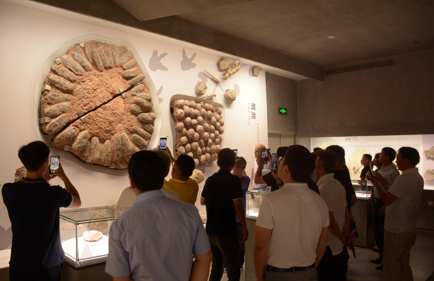 全國(guó)工商聯(lián)石材業(yè)商會(huì)四屆二次會(huì)長(zhǎng)（擴(kuò)大）會(huì)議在海西石材城成功召開