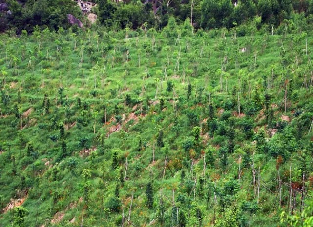 漳浦問題礦山生態(tài)圓滿修復(fù)，全縣石材企升級(jí)27家企業(yè)復(fù)電復(fù)產(chǎn)，獲中國環(huán)境報(bào)好評(píng)
