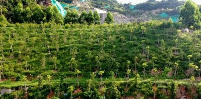 漳浦問題礦山生態(tài)圓滿修復(fù)，全縣石材企升級(jí)27家企業(yè)復(fù)電復(fù)產(chǎn)，獲中國環(huán)境報(bào)好評(píng)