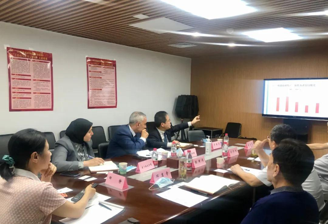 埃及公使到訪中國石材協會，推動中埃石材合作