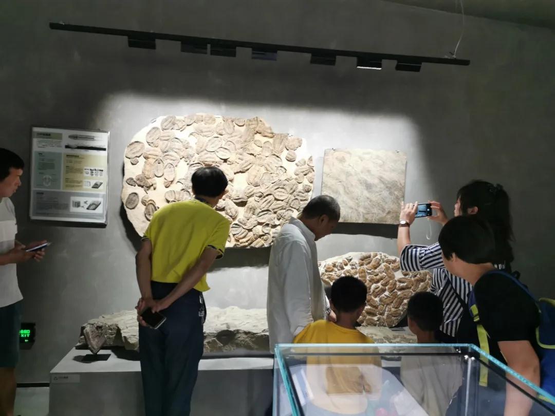 石材文化的分享者｜晉江、南安兩地作協主席與作家蒞臨水頭參觀指導