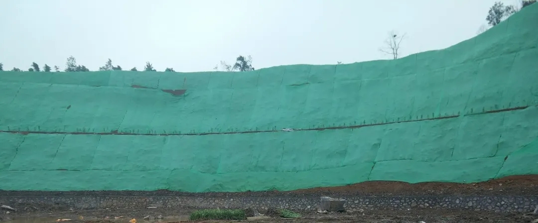 浙江海寧市小尖山廢棄礦山生態修復項目通過交工驗收