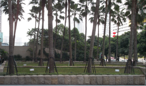 晏輝：用石材做的花盆真的人見人愛，每一款都獨具味道