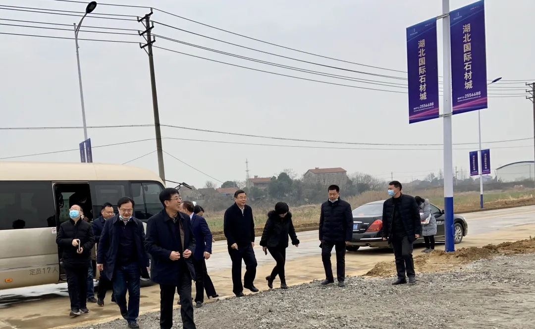 孝感市政府領導蒞臨湖北國際石材城項目視察指導工作