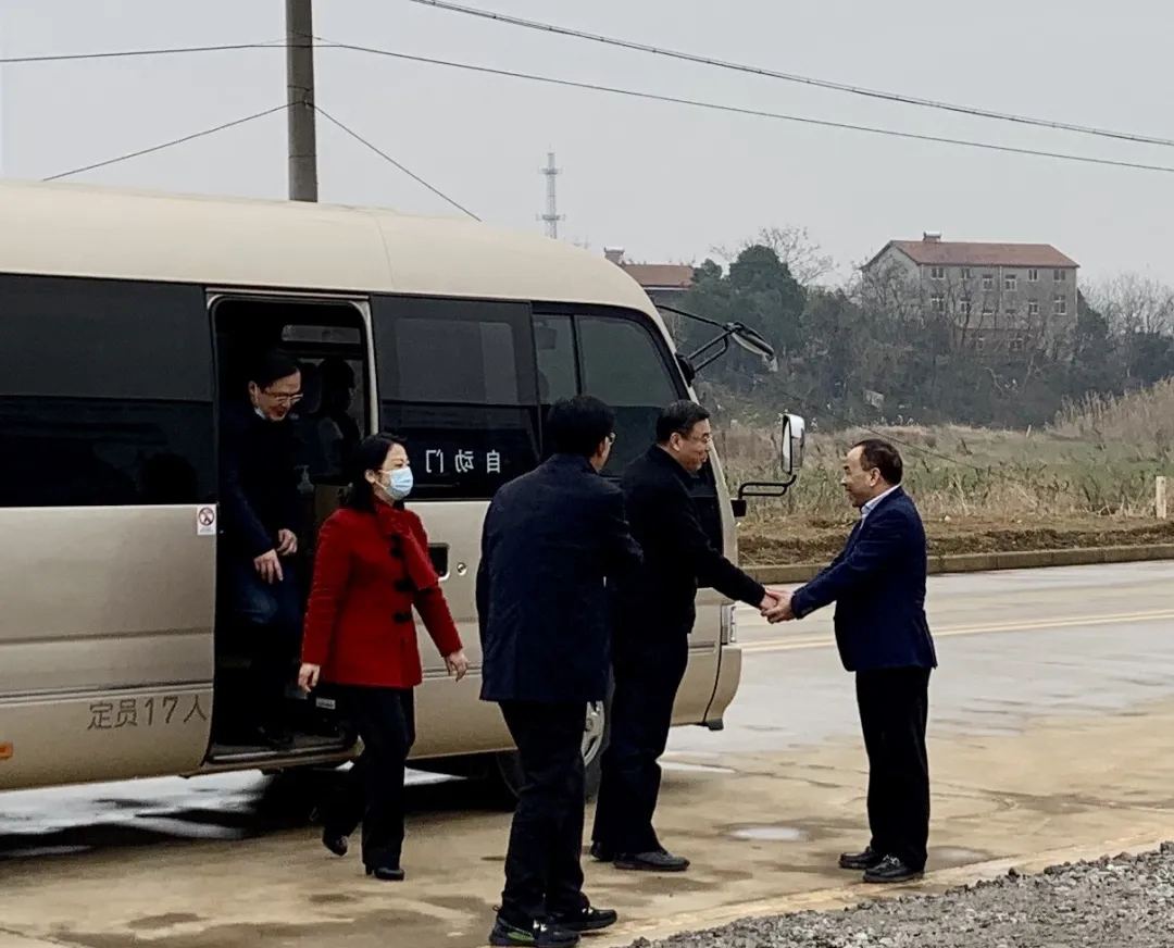 孝感市政府領導蒞臨湖北國際石材城項目視察指導工作