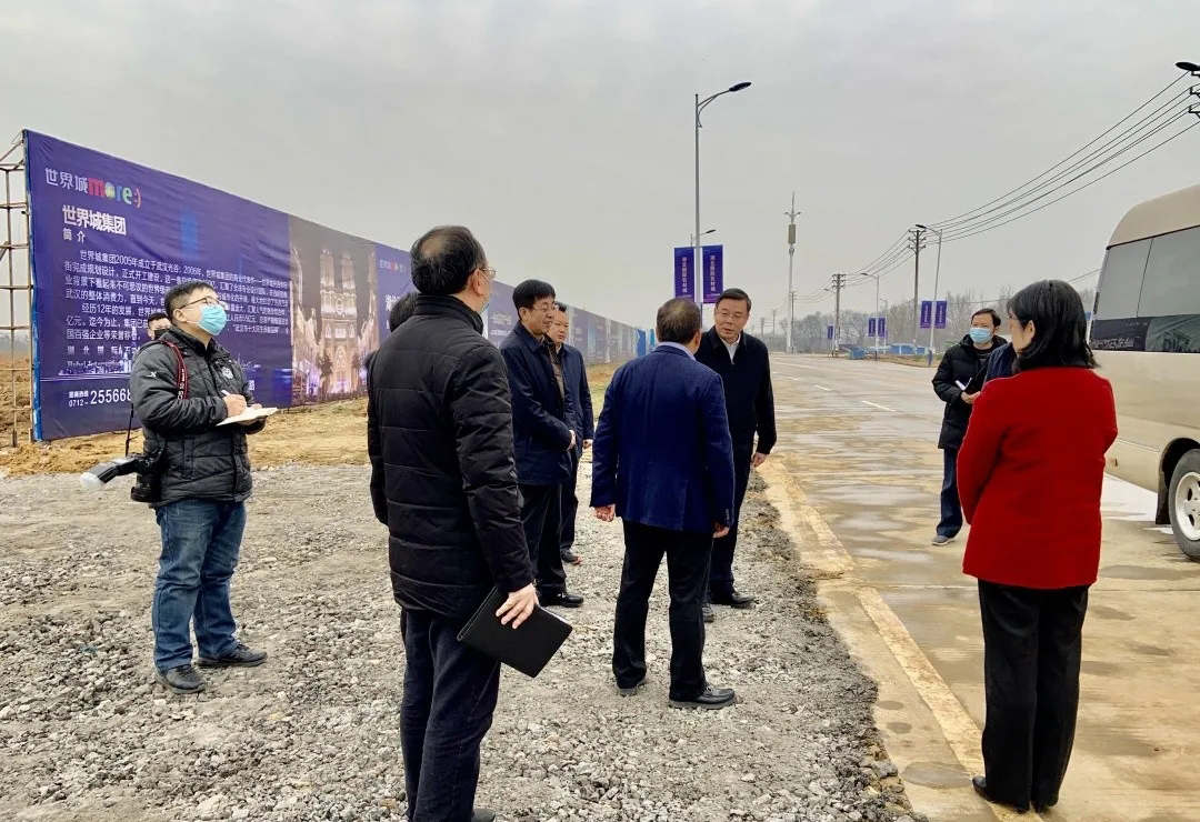孝感市政府領導蒞臨湖北國際石材城項目視察指導工作