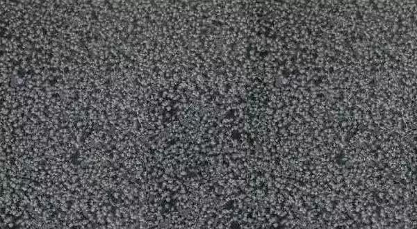 陜西西鄉(xiāng)縣礦產(chǎn)整合年產(chǎn)80萬(wàn)m33月1日起礦權(quán)出讓?zhuān)轿鬣l(xiāng)黑菊花青欣賞！