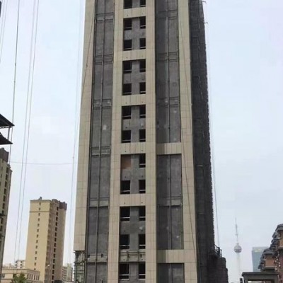 中糧地產上海工地用江西菊花黃