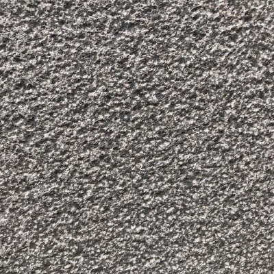 新中國黑荔枝面