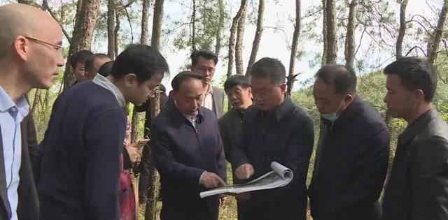 湖北木蘭紅產(chǎn)地大悟縣將建成鄂北規(guī)模最大的石材產(chǎn)業(yè)園!