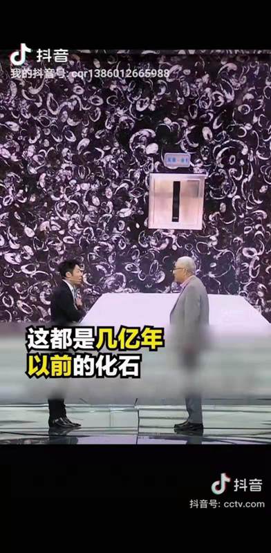 貴陽機場廁所洗手臺化石是哪個石材（海貝花大理石）