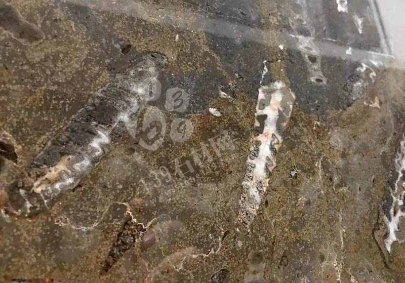 貴陽機場廁所洗手臺化石是哪個石材（海貝花大理石）