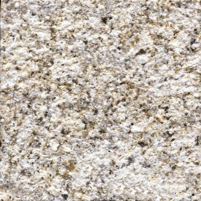 樂安黃金麻荔枝面