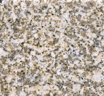 江西省撫州市樂安縣黃金麻、芭拉白、大白花石材欣賞