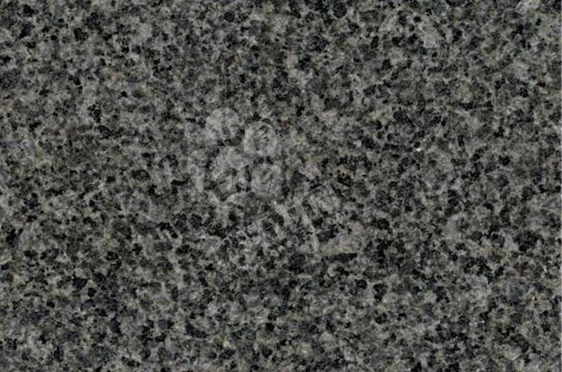 傻傻分不清楚的鐘山青與芝麻黑,到底有什么區(qū)別?