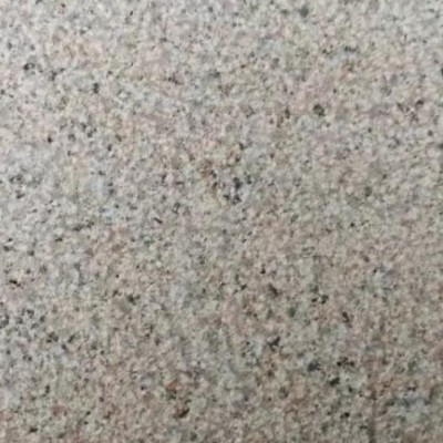 江西新石島紅荔枝面