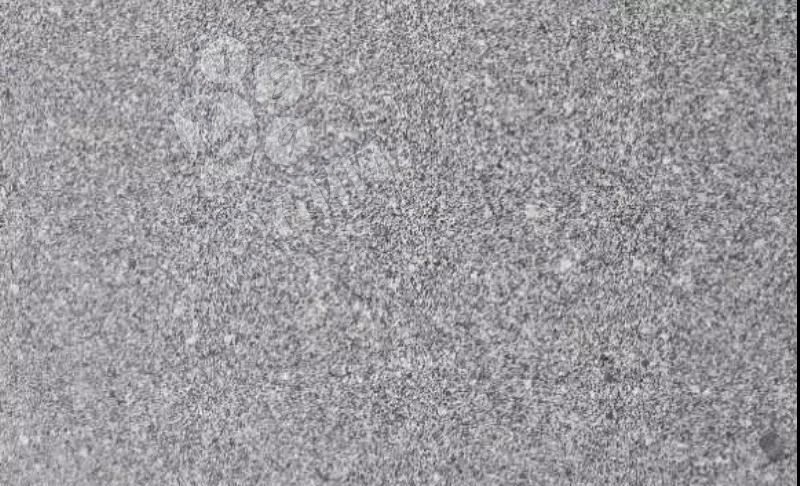 安徽金寨黑花崗巖礦山和產品六安金寨縣芝麻黑欣賞