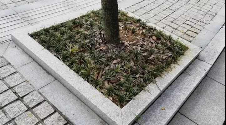 浙江遂昌紅花崗巖礦山及麗水遂昌霞紅(遂昌紅)G3338石材鑒賞!