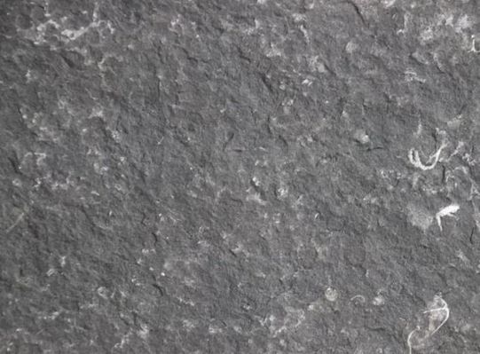 石材新礦！貴州省畢節市赫章縣夜郎黑（新中國黑）石材欣賞！