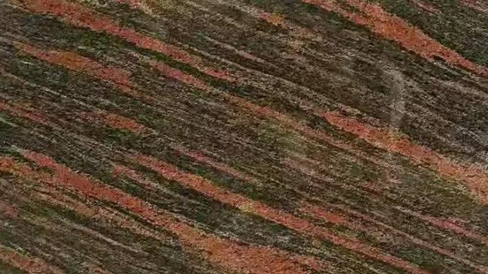 國(guó)產(chǎn)進(jìn)口石材之幻彩紅（加州紅龍）石材欣賞！