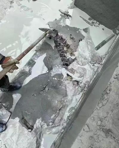 四川隆昌青石礦山挖出古生物化石,專家初步分析為恐龍化石!