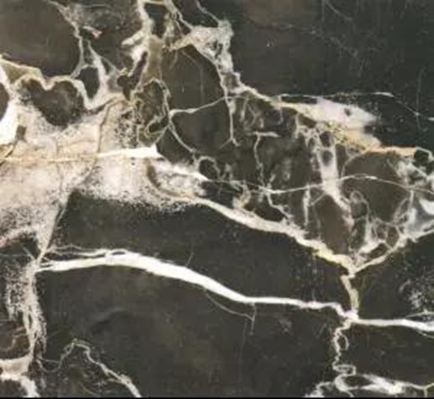 黑金花大理石-關鍵詞：富麗堂皇、華麗高貴、黑色奢華